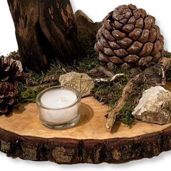 Pilz-Landschaft auf Holzscheibe (Variante B)